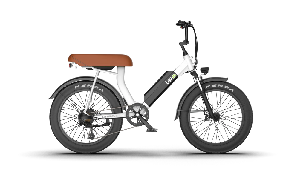 Cruiser Plus