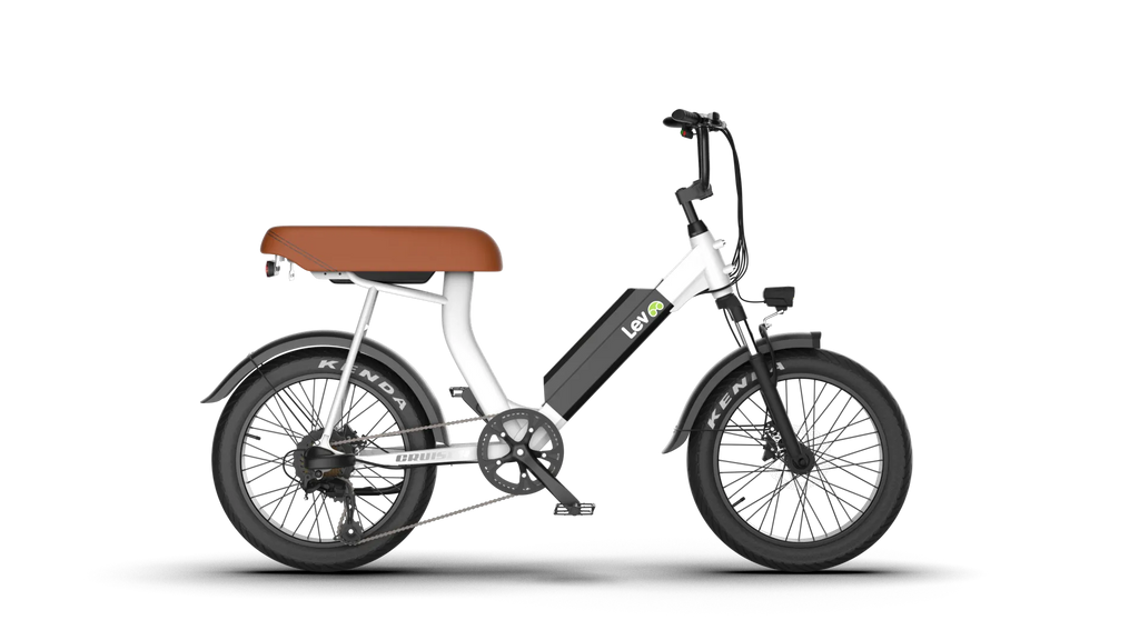 Cruiser